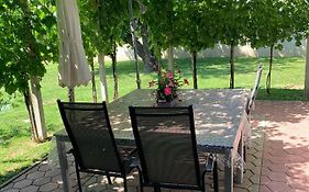 Apartma Vita